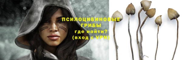 a pvp Малоархангельск